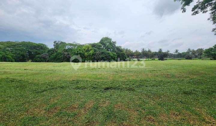 For Sale Prime Plot Suvarna Padi Ready-to-Build Position
