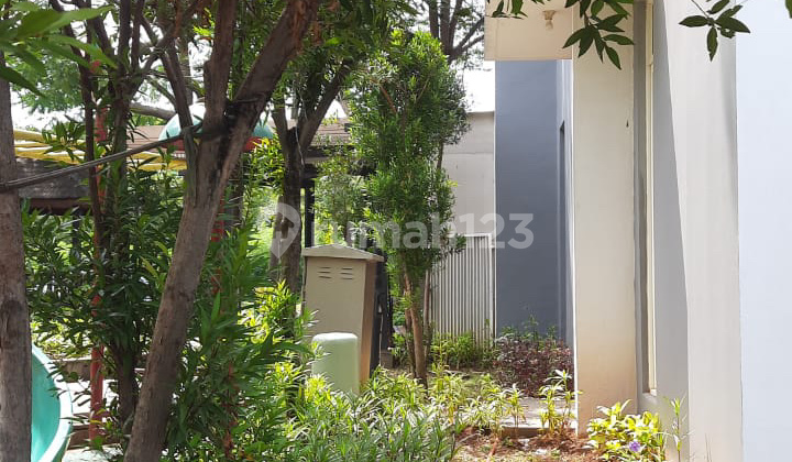 Rumah Hoek Katamaran PIK 3 Lantai Bagus Rumah Hoek Katamaran PIK 3 Lantai Bagus