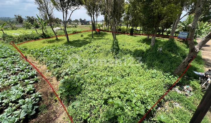 Dijual Tanah Kebonhui, Cihideung, Bandung