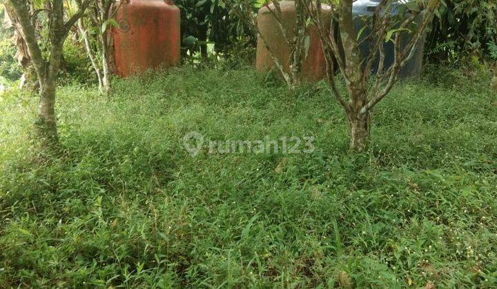 Dijual Tanah Kebun dan Sawah di Ciater, Subang 1