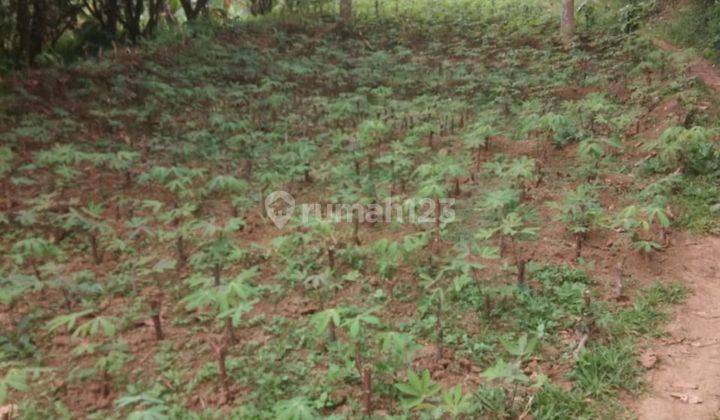 Dijual Tanah Kebun dan Sawah di Ciater, Subang 2