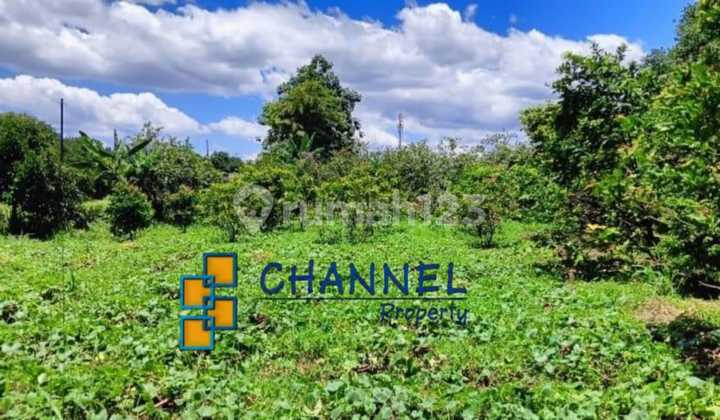 Selling Strategic Land Plot Near Sawangan Toll Road, Depok, Land Area Selling Strategic Land Plot Near Sawangan Toll Road, Depok, Land Area