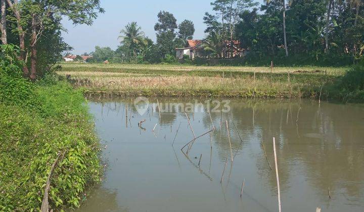 Di jual Tanah Sawah di Cianjur 2
