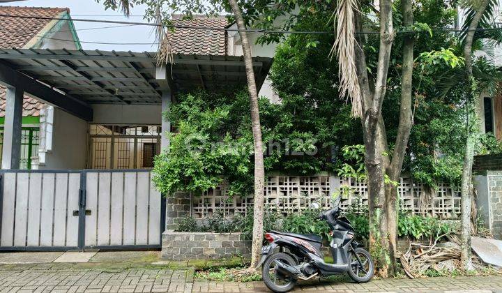 Rumah Cantik Siap Huni Anggrek Loka Bsd - Jun 2