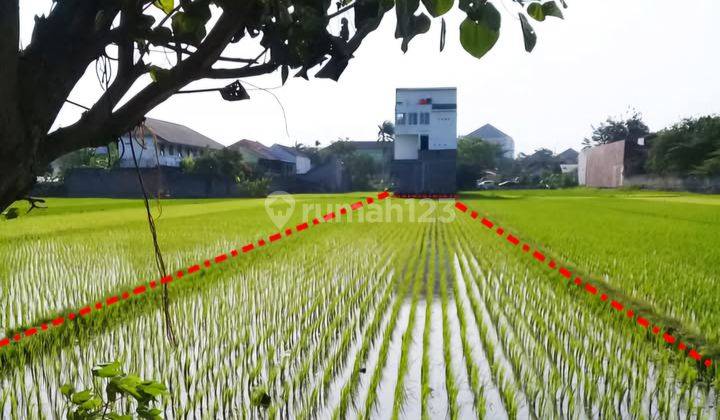 Jual Cepat Tanah Seberang UMY 834m2 SHM  Gatak, Taman Tirto, Bantul, Yogyakarta 1