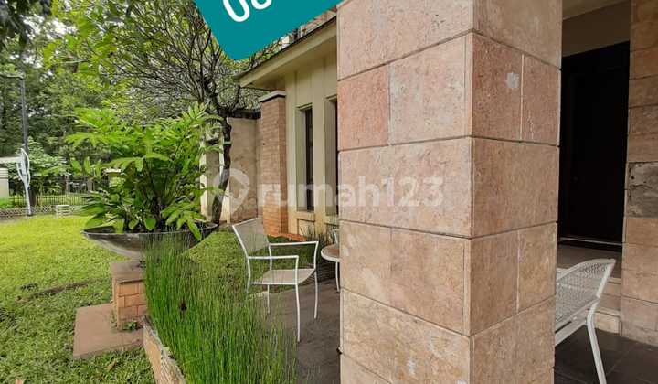 Luxury House with Swimming Pool Hook in Bintaro Sector 9, South Tangerang.