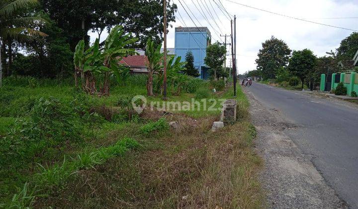 Tanah Di Pinggir Jalan Raya Terbanggi Propinsi Lampung Tengah 1