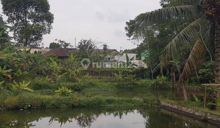 Tanah Kolam Ikan Di Gisting, Tanggamus 8