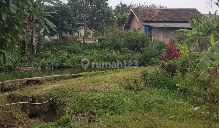 Tanah Kolam Ikan Di Gisting, Tanggamus 10