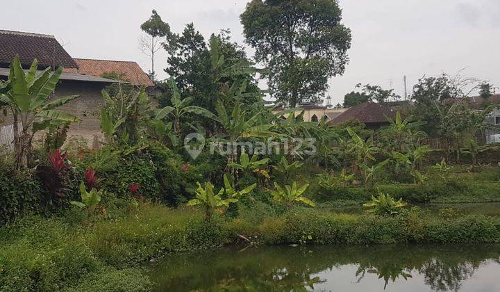 Tanah Kolam Ikan Di Gisting, Tanggamus 11