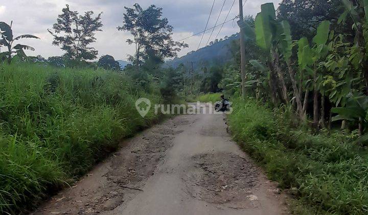 Tanah Kebun Cocok untuk Perumahan atau tempat wisata 1