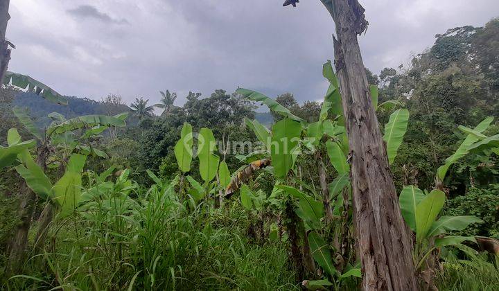 Tanah Kebun Cocok untuk Perumahan atau tempat wisata 3