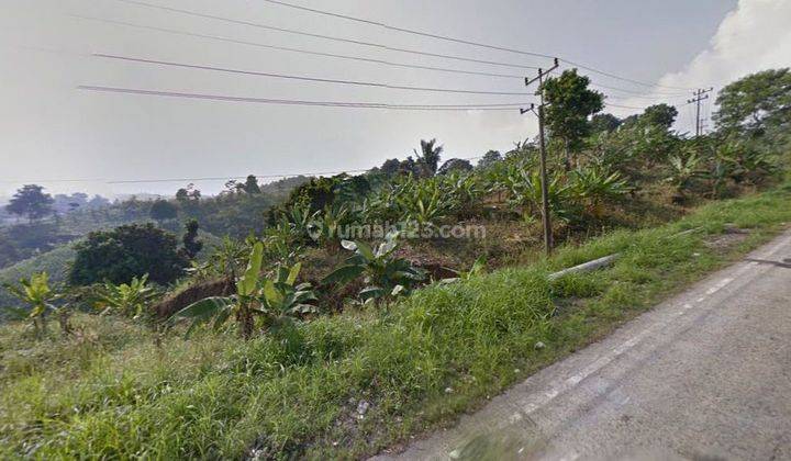 Jual Tanah Pingir Jalan Lintas Sumatera, Lampung Selatan 1