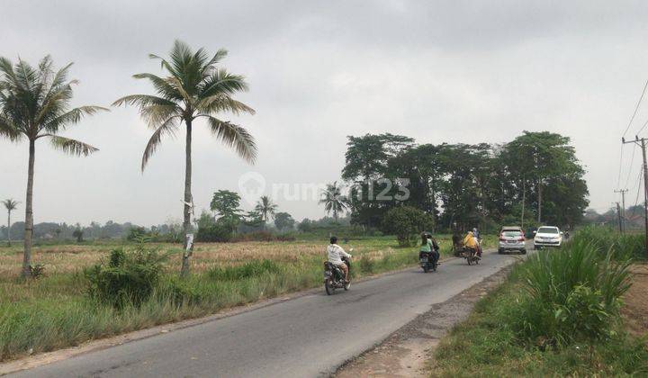 Jual Cepat Tanah Lokasi Di Jati Agung Cocok untuk Buat Perumahan 1