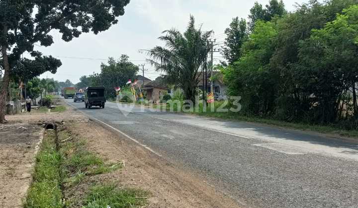 Jual Cepat Tanah Diterbanggi Besar, Lampung Tengah 1