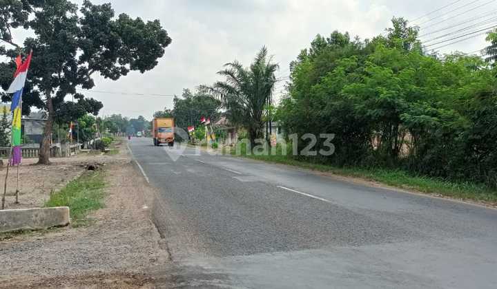 Jual Cepat Tanah Diterbanggi Besar, Lampung Tengah 2