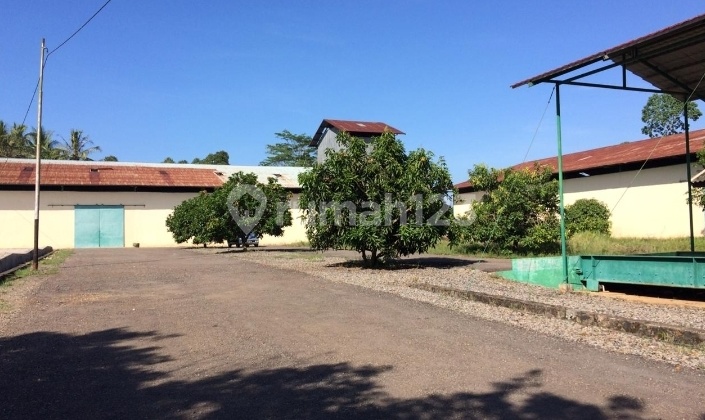 Gudang Jual Lokasi Tegineneng. Pesawaran