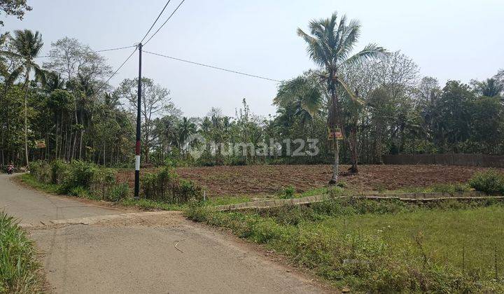 Jual Cepat Tanah Kebun Di Pesawaran 1