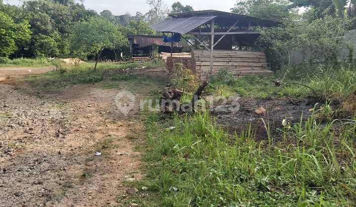 Jual Tanah di Belakang Kompi Imam Bonjol ,Lokasi Cocok untuk Perumahan Jual Tanah di Belakang Kompi Imam Bonjol ,Lokasi Cocok untuk Perumahan