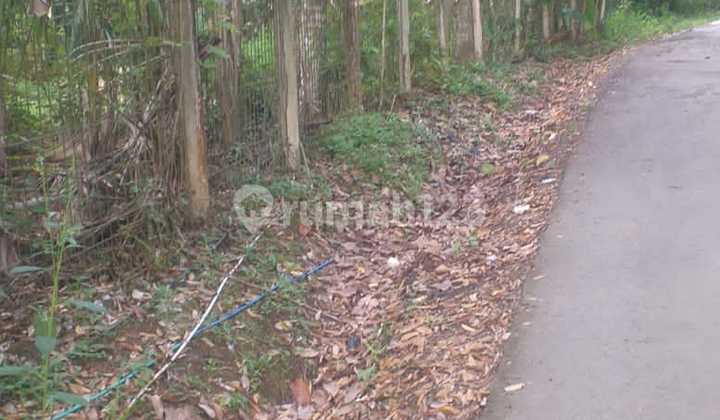 Jual Cepat Tanah , Vila, Dan Kebun