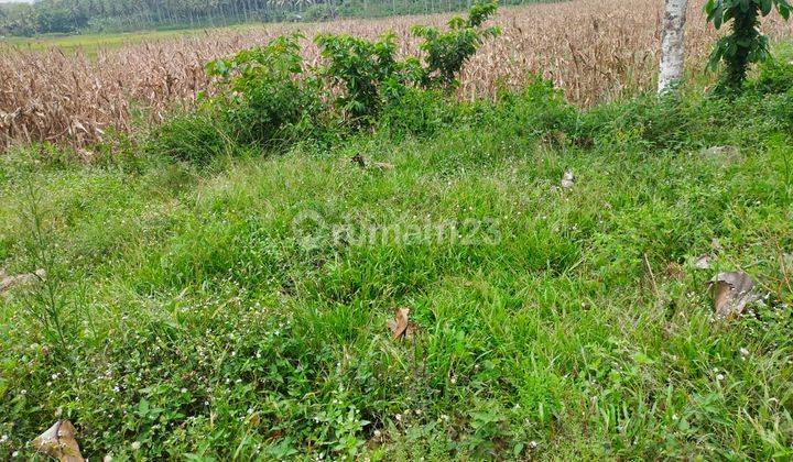 Jual Cepat Tanah Di Tanjung Bintang,samping Res Area 2