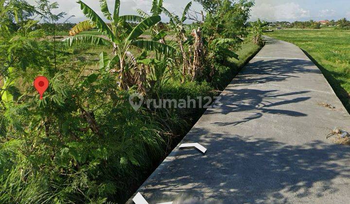 Pantai Nyanyi Beraban Tabanan Kav Itr Hijau 2