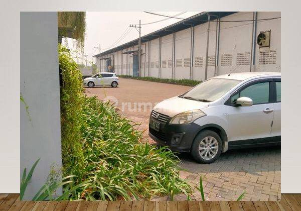 Wringin anom pabrik siap pakai  3