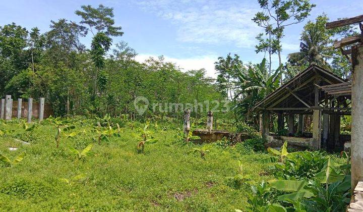 Nol jalan kabupaten lumajang kunir 1