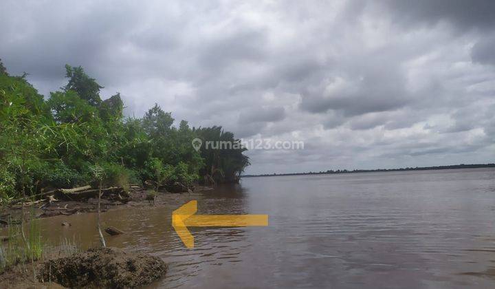 Tanah kebun kalimantan tengah samping sungai kapuas 2