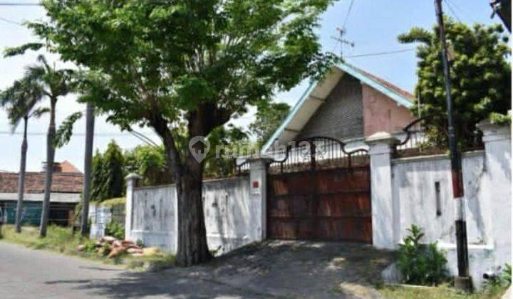 Lompo batang petemon rumah hit tanah  1