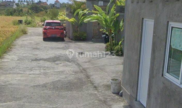 Pantai Lima Kav Land for Rent 39th Pererenan Badung 2