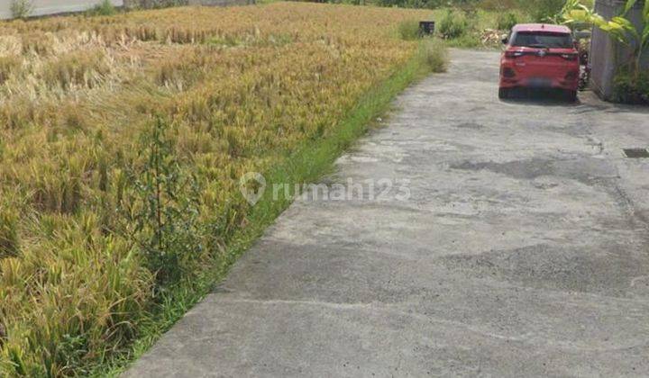 Pantai Lima Kav Land for Rent 39th Pererenan Badung 1