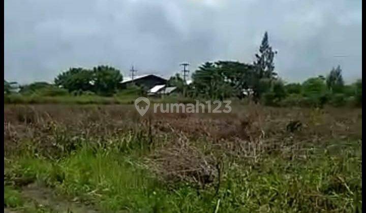 Nol jalan propinsi tuban area widang 2