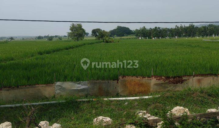 Tanah widang tuban cck  perumahan dan pertanian 1