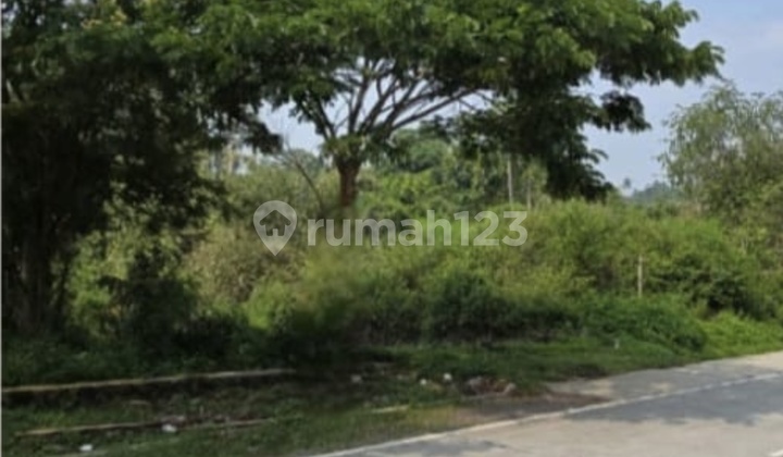 Boyolali Mojosongo Commercial and Residential Boyolali Mojosongo Commercial and Residential