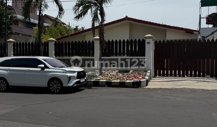 Darmo Permai 1Lt Hit Tanah