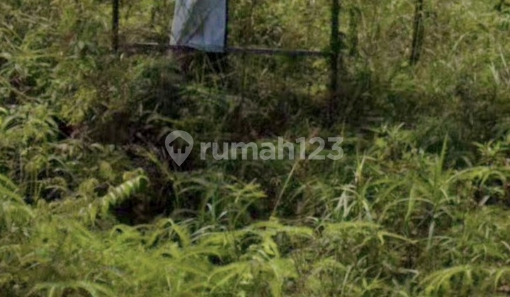 Martapura, South Kalimantan, Warehouse Complex