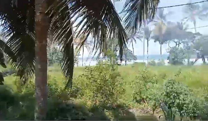 Raya Denpasar Gilimanuk Beachfront 