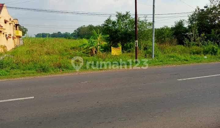 Raya Modongan Trowulan Mojokerto