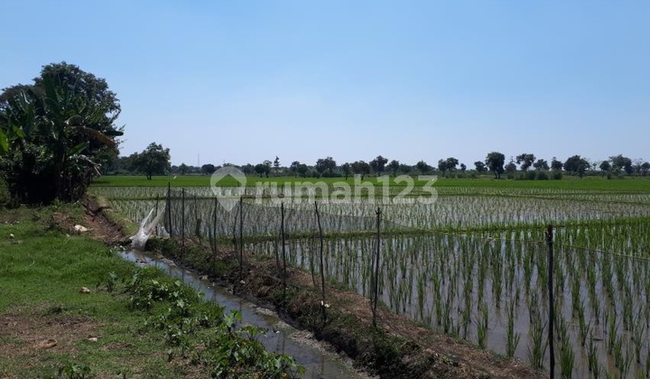 Raya Pabuaran Subang, West Java