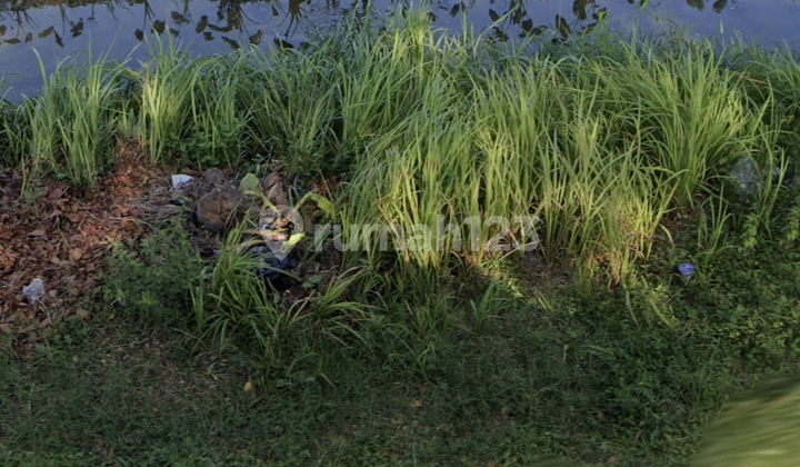 Bakalan Kapas Bojonegoro Main Road Bakalan Kapas Bojonegoro Main Road
