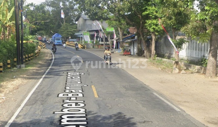 Jember-Banyuwangi Highway, Rogojampi Jember-Banyuwangi Highway, Rogojampi