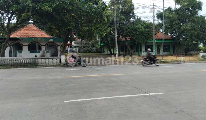 Jombang Perak Jalan Raya Jombang Perak Jalan Raya