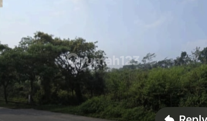 Boyolali Mojosongo Commercial and Residential Boyolali Mojosongo Commercial and Residential