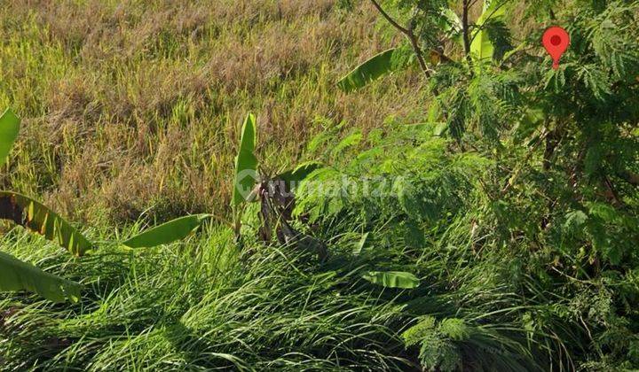 Pantai Nyanyi Beraban Tabanan Kav Itr Hijau 1