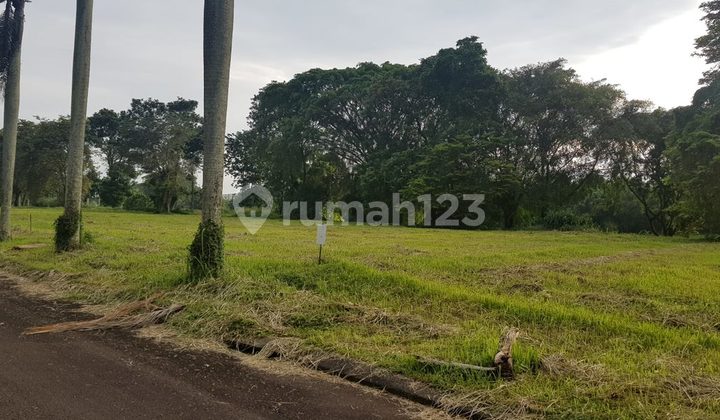 Tanah View Golf Di Gading Golf Timur Gading Serpong