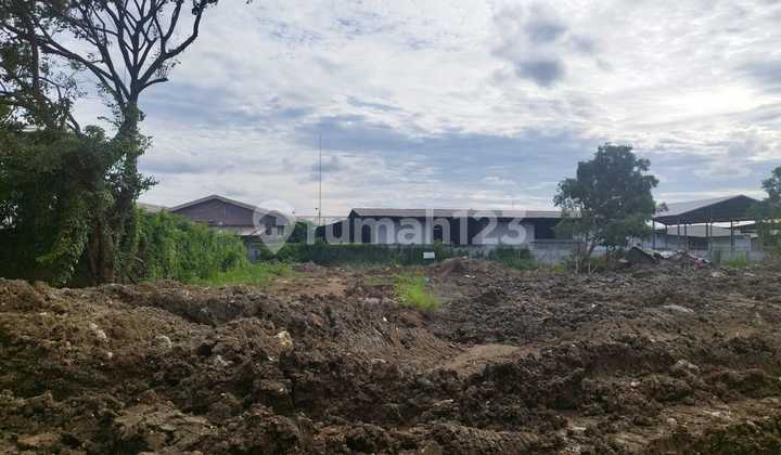 Tanah Utk Gudang Jual Rugi Kamal Muara Penjaringan Jak Utara Tanah Utk Gudang Jual Rugi Kamal Muara Penjaringan Jak Utara