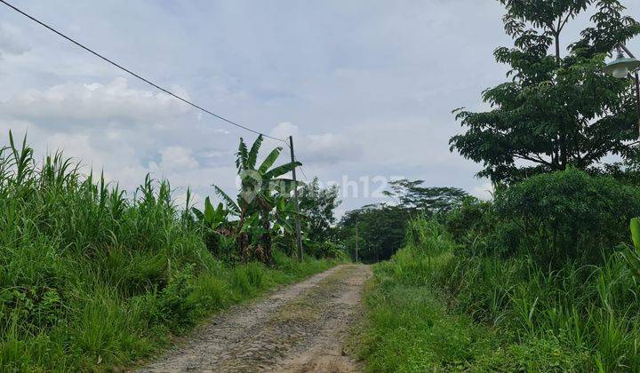 Tanah Industri Lokasi Rangkas Bitung Lebak Banten 2