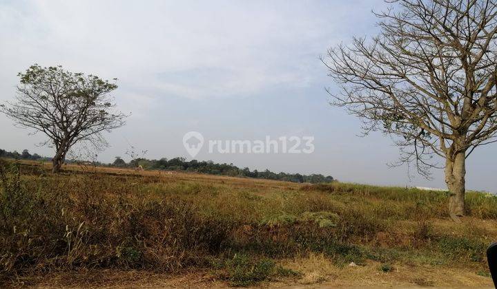 Kavling Untuk Gudang Pabrik Lokasi Dekat Tol di Legok Tangerang Banten 1