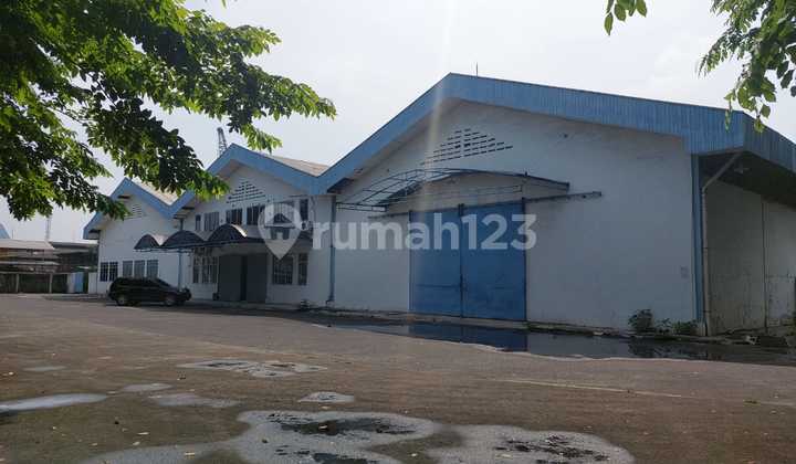 Disewakan Gudang Besar Lokasi Strategis di Karawaci Tangerang Banten Siap Huni Dekat Ke Tol Disewakan Gudang Besar Lokasi Strategis di Karawaci Tangerang Banten Siap Huni Dekat Ke Tol